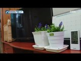 [Economy magazine M] 경제매거진 M - Remove moisture with a salt flowerpot 20170701