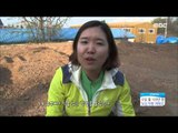 [Morning Show] Downtown vegetable garden investment techniques [생방송 오늘 아침] 20160418