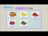[Happyday]  Healthy food : Fruits fermentation vinegar 암을 예방하는 '과일 발효식초' [기분 좋은 날] 20160426