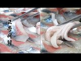 [Live Tonight] 생방송 오늘저녁 726회 - Slices of raw mackerel 20171116