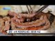 [Smart Living] The difference between tripe and Beef Entrails  20160909