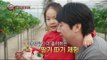 [Power Magazine] 'Experience of Picking strawberry' With child 아이와 함께, '딸기 따기 체험' 20160108