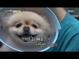 [Haha Land] 하하랜드 - Animal Hospital Emergency 20170816