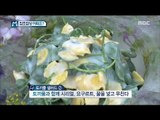 [Economy magazine M] 경제매거진 M - recipe : To eat with weeds 20170429