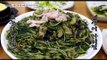 [Live Tonight] 생방송 오늘저녁 536회 - 'seaweed fulvescens agwi jjim' 20170207
