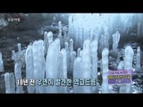 [Morning Show] Icicles that grows in soil '땅에서 자라나는 고드름'의 엄청난 비밀은? [생방송 오늘 아침] 20160113