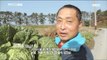 [MBC Documetary Special] - 배추 농사를 짓는 귀농 1년 차의 창덕 씨 20170313