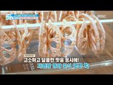 [Happyday]Lotus root chip! 건강한 간식! 연근 칩![기분 좋은 날] 20170419