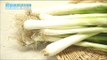 [Happyday]Spring onion root! 대파 뿌리! 이렇게 사용하자! [기분 좋은 날] 20170209