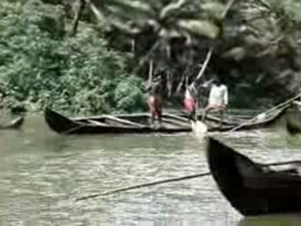 La vie backwater