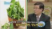 [Happyday] Healthy food : cabbage & spinach  [기분 좋은 날] 20160526