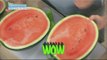 [Happyday] Way of selecting delicious watermelons 꿀 TIP, 맛있는 수박 고르기 [기분 좋은 날] 20160527