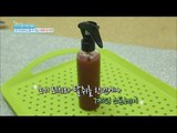 [Happyday] How to make a spray of cinnamon 모기 퇴치! 천연 모기약 '계피 스프레이' [기분 좋은 날] 20160602