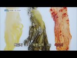 [Live Tonight] 생방송 오늘저녁 373회 - Yesan's Fermented kimchi! 20160602