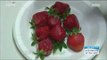 [Morning Show] Rinse method of strawberries 꿀tip, 식중독 예방! '딸기 세척법' [생방송 오늘 아침] 20160620