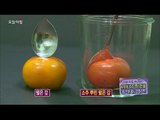 [Morning Show] Life Tip Let's makes astringent persimmon to ripe persimmon  [생방송 오늘 아침] 20151005
