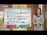 [Learn Korean] Daily Correct Korean Information! Todays korean '뇌졸중' 20160212
