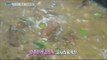 [Live Tonight] 생방송 오늘저녁 383회 - Jeju-do Bracken Spicy Beef Soup! 20160616