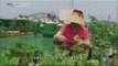 [Live Tonight] 생방송 오늘저녁 385회 - Rooftop gardens in the city 20160620