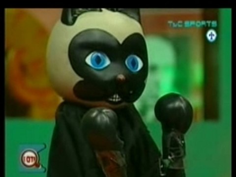 Duro de Domar - El Gato de Verdaguer 013