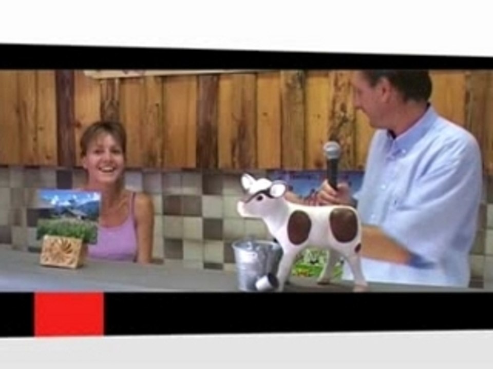 Bêtisier place du village 2006