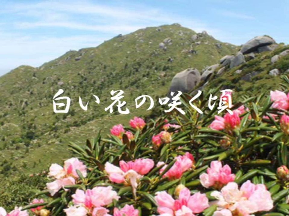 白い花の咲く頃 水原弘 動画 Dailymotion