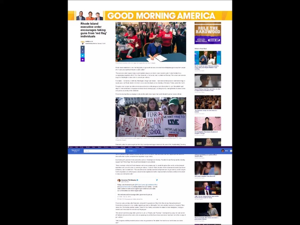 Red Flag Gun Laws - A Video Ban