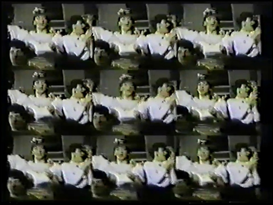 Zorica Brunclik - Sta je zivot majko (Svadba Biljane Jevtic)