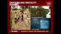 Shocking Video Of Dog Being Dragged, Choked By 2 Men In Chennai