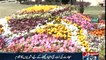 The second day of  exhibition of  beautiful flowers in Karachi