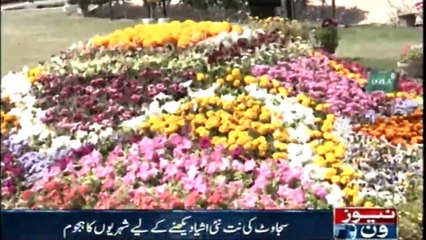 The second day of  exhibition of  beautiful flowers in Karachi