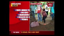 'Gau Rakshaks' Are Not Goons But Victims, Says VHP