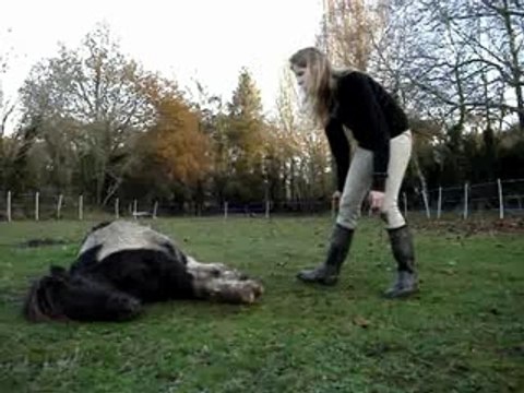 Pawnee...montage couché! ses debuts