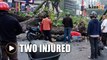 Tree falls in front of KlCC, two injured