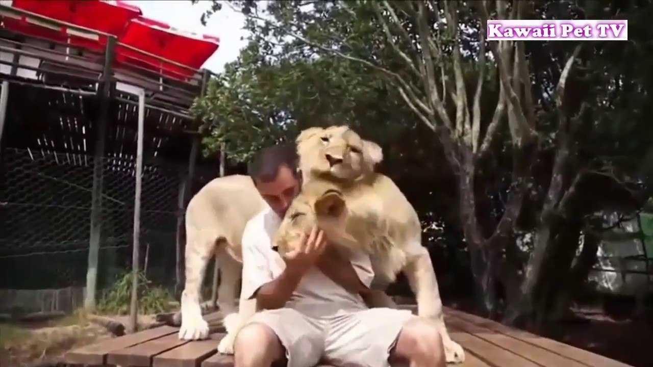 「泣ける感動動物」見てて幸せな気分になる動物と人間の感動の再会,送別動画集