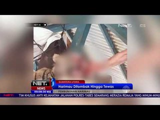 Harimau Ditombak Hingga Tewas  NET 24
