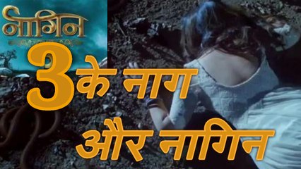 Naagin season 3 के नाग और नागिन।