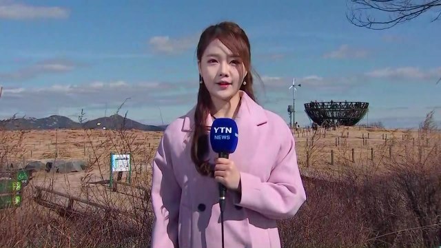 [날씨] 미세먼지 걱정 없어요...내일 '경칩' 맑고 포근 / YTN