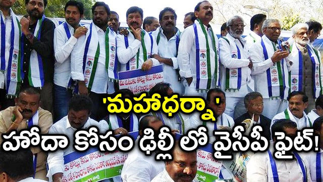 YSRCP Maha Dharna at Delhi Over AP Special Status హోదా కోసం ఢిల్లీలో వైసీపీ ఫైట్