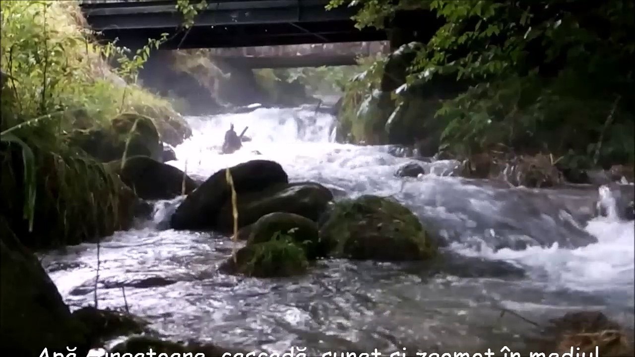 Apă curgătoare, cascadă, sunet și zgomot în med...