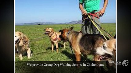 Dog Walking Cheltenham