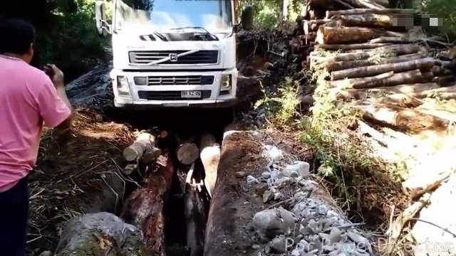 Ana Var Şoför Doğurur! İşte Anaların Şoför Olarak Doğurduğu O En Yetenekli Kamyon - Tır Sürücüleri!