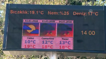 Yağışlar Batı Akdeniz çiftçisini sevindirdi - ANTALYA