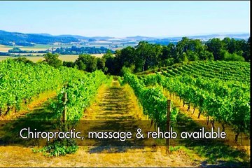 Associate Chiropractor With Option to Buy  Wanted in Portland Oregon Suburbs