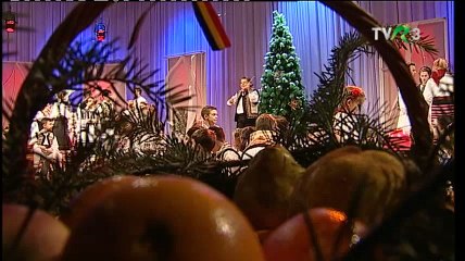 Cristian Nastase - Vioara (Popasuri folclorice - TVR 3 - 28.12.2017)