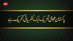 Pakistan Awami Tehreek Aik Nazryati Tehreek Hy [Speech Shaykh-ul-Islam Dr. Muhammad Tahir-ul-Qadri]