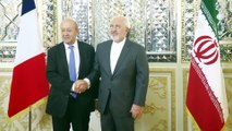 Fransa Dışişleri Bakanı Le Drian - İran Dışişleri Bakanı Zarif görüşmesi - TAHRAN