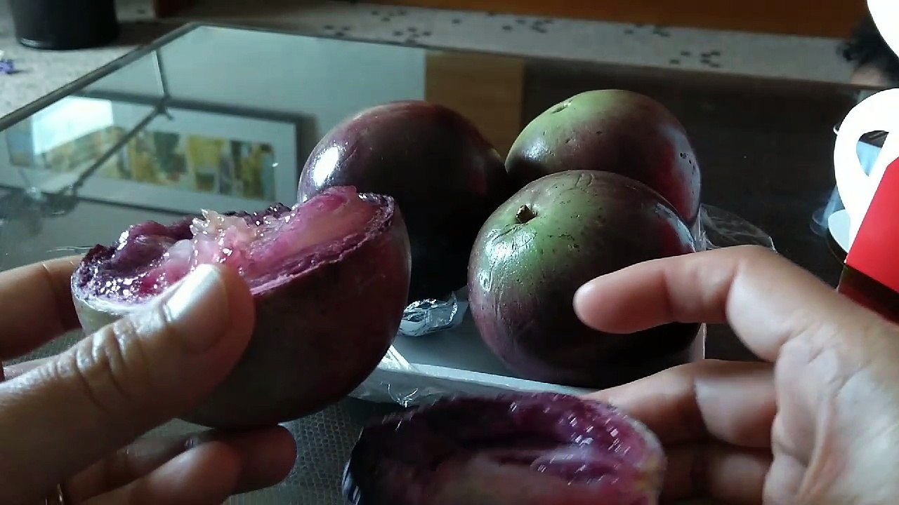 STAR APPLE FRUIT | CAIMITO
