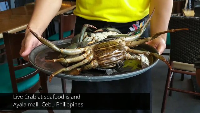 Seafood Island | BEST LIVE FILIPINO CRAB in Cebu Philippines