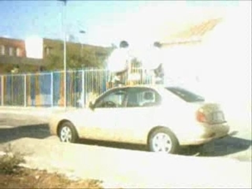 urban eagle